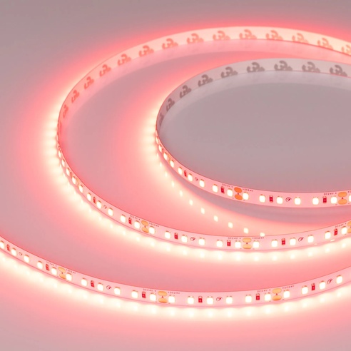 Лента светодиодная RT-A120-8mm 24V Scarlet (9.6 W/m, IP20, 2835, 5m) (Arlight, -)