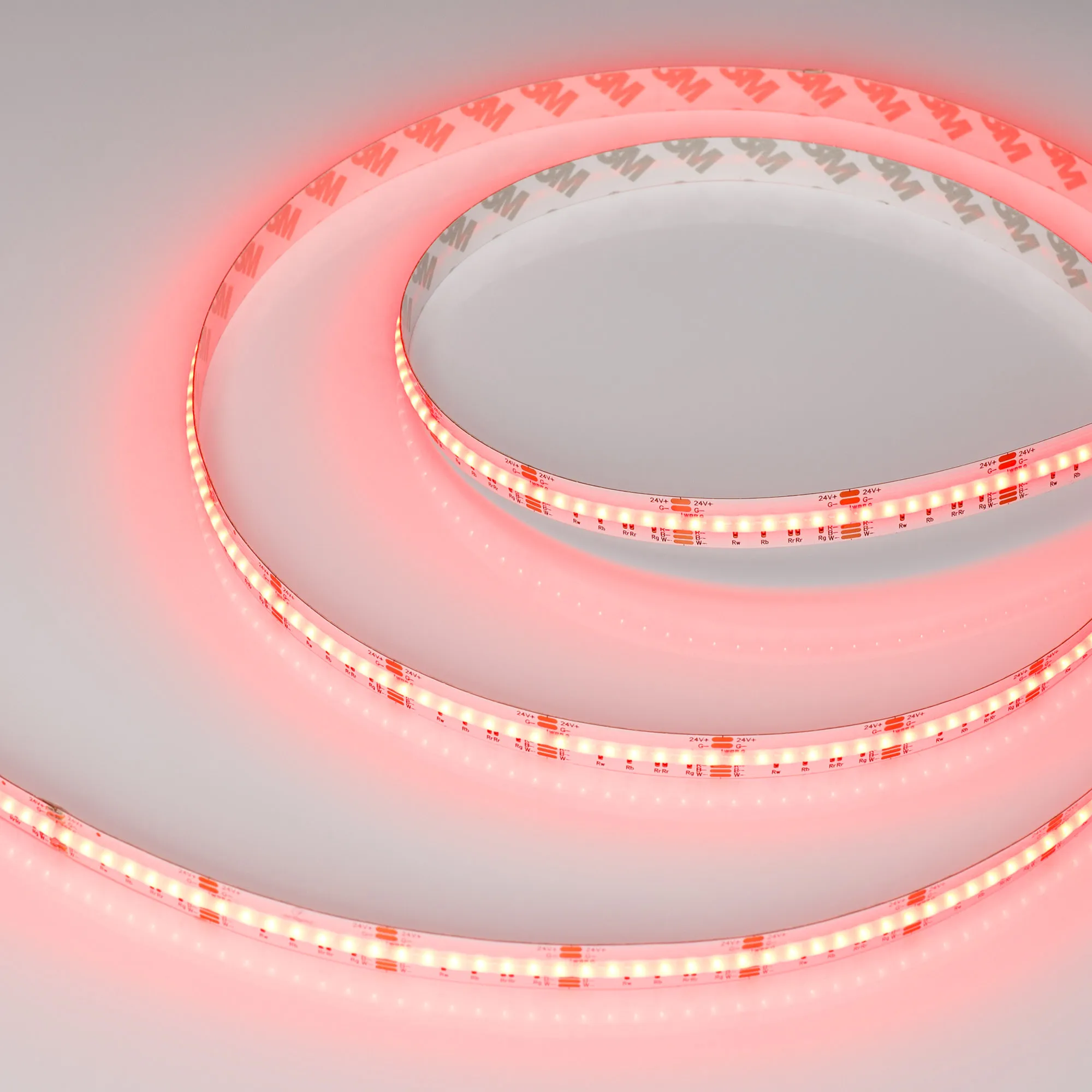 Лента светодиодная CSP-X840-12mm 24V RGBW-Day (17.2 W/m, IP20, 5m)  (Arlight, 5 лет)