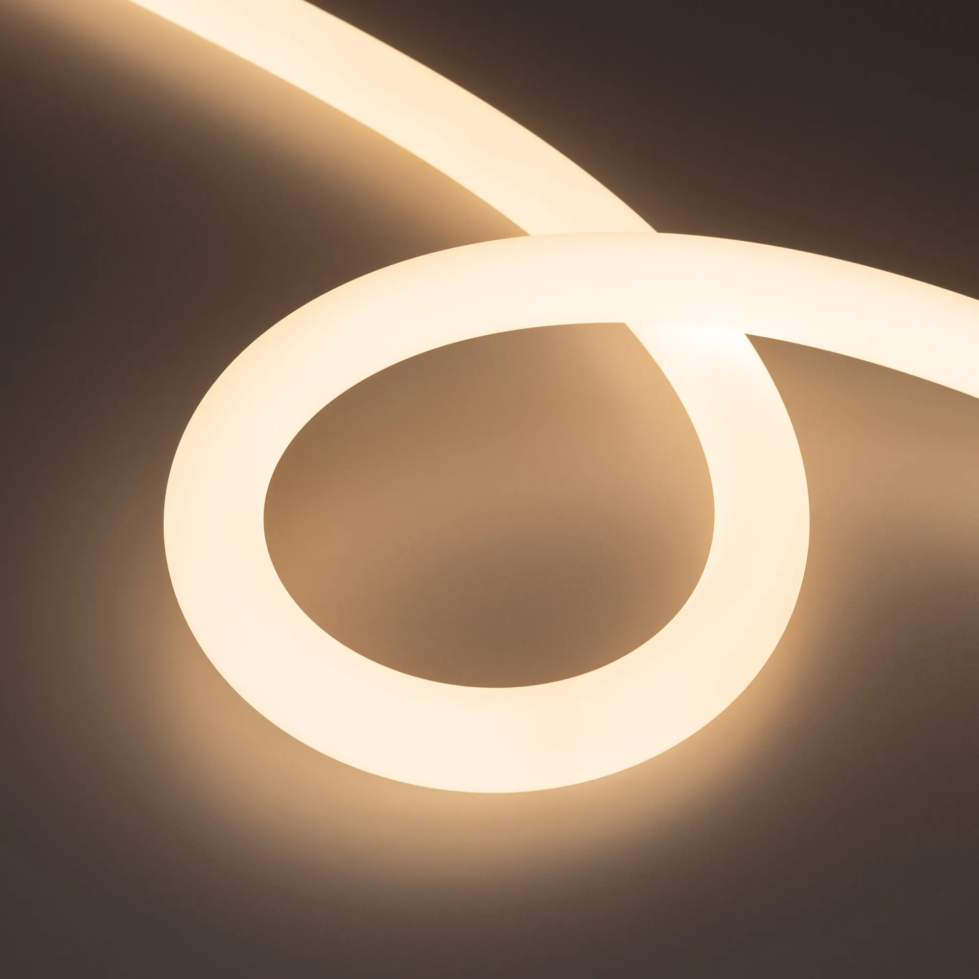 Лента светодиодная герметичная MOONLIGHT-SIDE-FP-X1088-D25mm 24V Warm3000 (20 W/m, IP65, 5m, wire x1) (Arlight, Вывод боковой, 3 года) - изображение товара